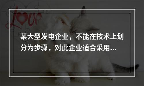 某大型发电企业，不能在技术上划分为步骤，对此企业适合采用的成