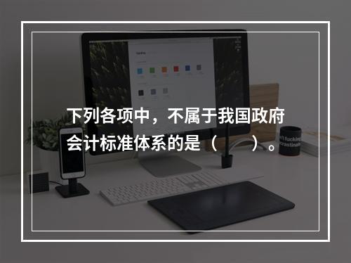 下列各项中，不属于我国政府会计标准体系的是（　　）。