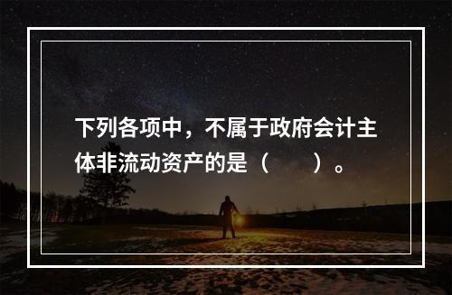 下列各项中，不属于政府会计主体非流动资产的是（　　）。