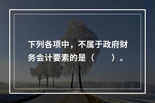 下列各项中，不属于政府财务会计要素的是（　　）。