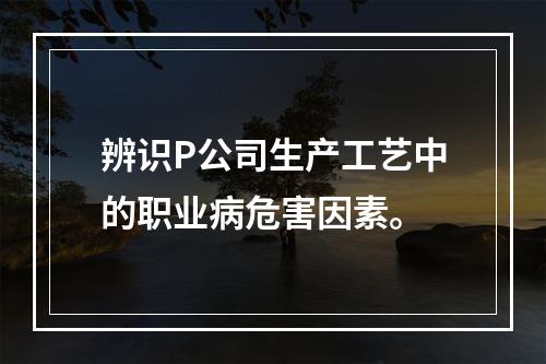 辨识P公司生产工艺中的职业病危害因素。