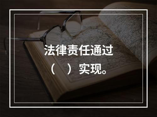 法律责任通过（　）实现。