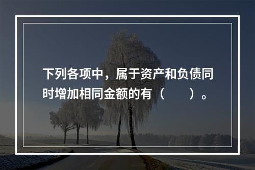 下列各项中，属于资产和负债同时增加相同金额的有（　　）。