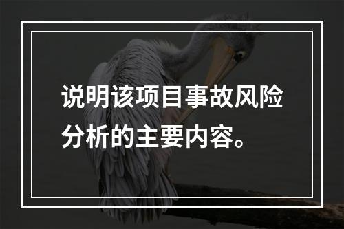 说明该项目事故风险分析的主要内容。