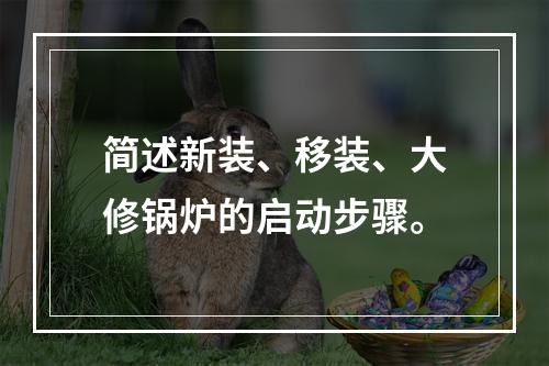 简述新装、移装、大修锅炉的启动步骤。