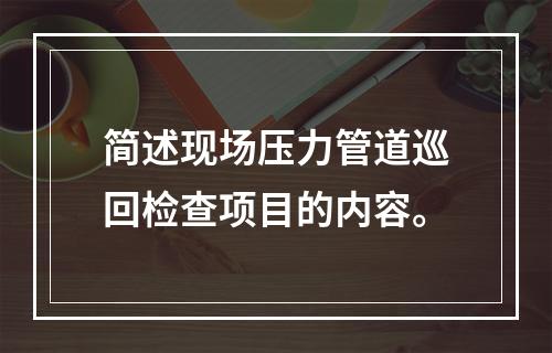 简述现场压力管道巡回检查项目的内容。