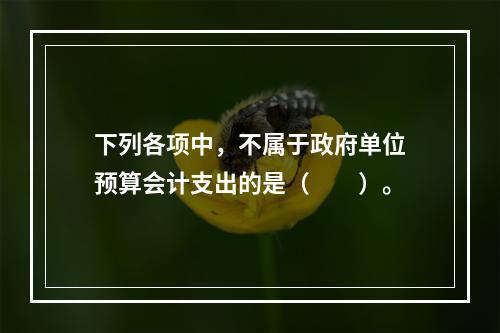 下列各项中，不属于政府单位预算会计支出的是（　　）。