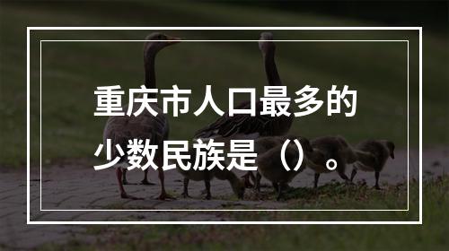 重庆市人口最多的少数民族是（）。