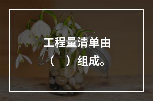 工程量清单由（　）组成。