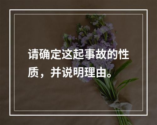 请确定这起事故的性质，并说明理由。