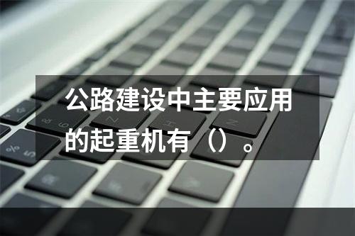 公路建设中主要应用的起重机有（）。