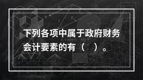 下列各项中属于政府财务会计要素的有（　）。