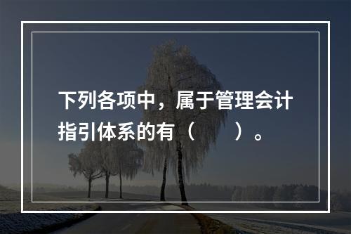 下列各项中，属于管理会计指引体系的有（　　）。