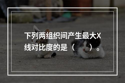 下列两组织间产生最大X线对比度的是（　　）。