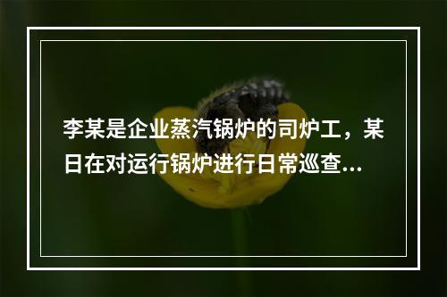 李某是企业蒸汽锅炉的司炉工，某日在对运行锅炉进行日常巡查的过