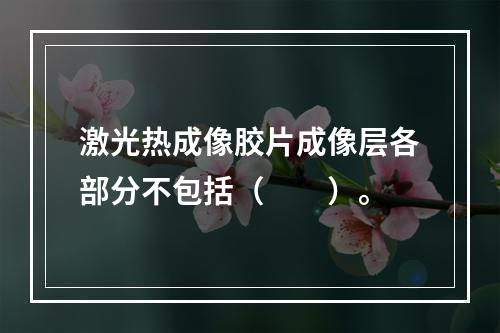 激光热成像胶片成像层各部分不包括（　　）。