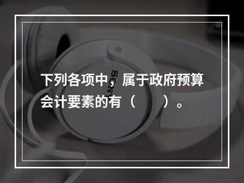 下列各项中，属于政府预算会计要素的有（　　）。