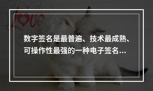 数字签名是最普遍、技术最成熟、可操作性最强的一种电子签名技术