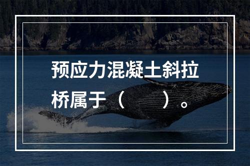 预应力混凝土斜拉桥属于（　　）。