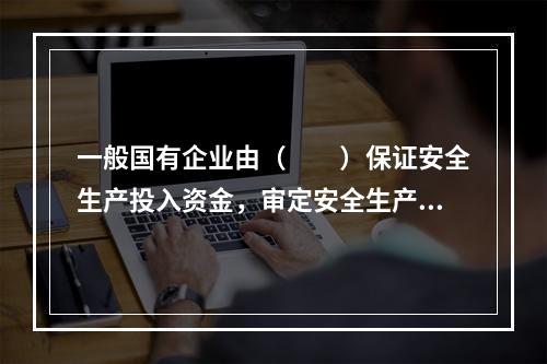 一般国有企业由（　　）保证安全生产投入资金，审定安全生产规划