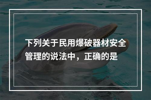 下列关于民用爆破器材安全管理的说法中，正确的是