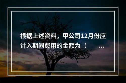 根据上述资料，甲公司12月份应计入期间费用的金额为（　　）元