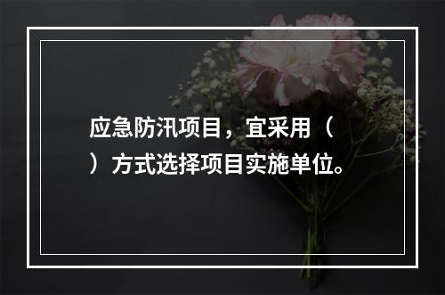 应急防汛项目，宜采用（　　）方式选择项目实施单位。