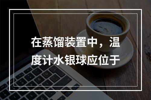 在蒸馏装置中，温度计水银球应位于