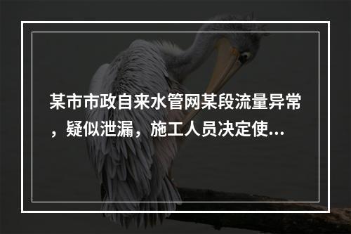 某市市政自来水管网某段流量异常，疑似泄漏，施工人员决定使用故