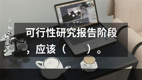 可行性研究报告阶段，应该（　　）。