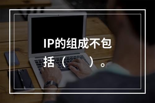 IP的组成不包括（　　）。