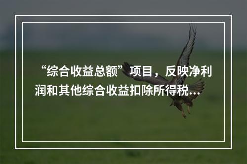 “综合收益总额”项目，反映净利润和其他综合收益扣除所得税影响