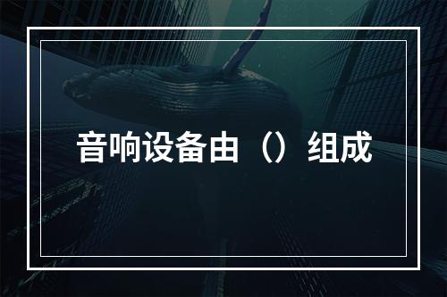 音响设备由（）组成