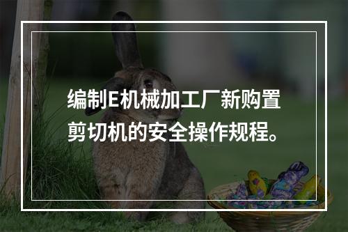 编制E机械加工厂新购置剪切机的安全操作规程。