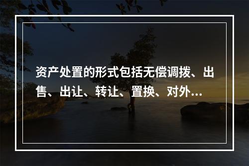 资产处置的形式包括无偿调拨、出售、出让、转让、置换、对外捐赠