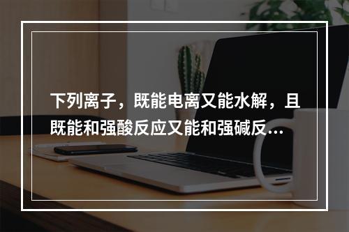 下列离子，既能电离又能水解，且既能和强酸反应又能和强碱反应的