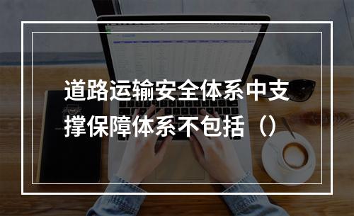 道路运输安全体系中支撑保障体系不包括（）