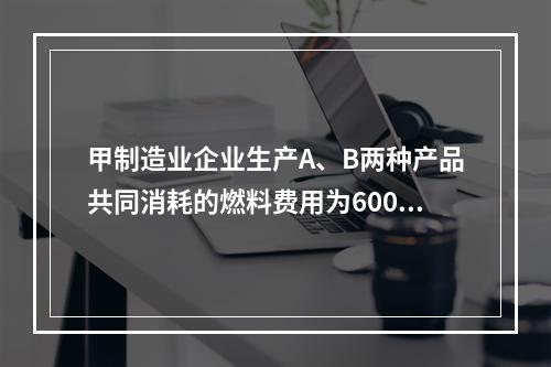 甲制造业企业生产A、B两种产品共同消耗的燃料费用为6000元