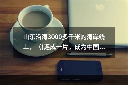 山东沿海3000多千米的海岸线上，（)连成一片，成为中国独有