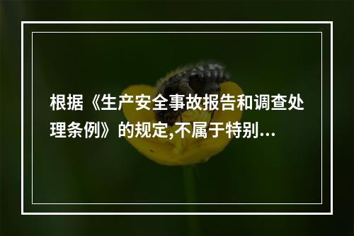 根据《生产安全事故报告和调查处理条例》的规定,不属于特别重大