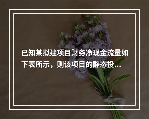 已知某拟建项目财务净现金流量如下表所示，则该项目的静态投资