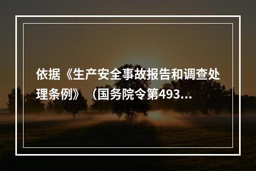 依据《生产安全事故报告和调查处理条例》（国务院令第493号）