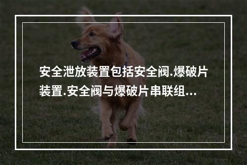 安全泄放装置包括安全阀.爆破片装置.安全阀与爆破片串联组合装