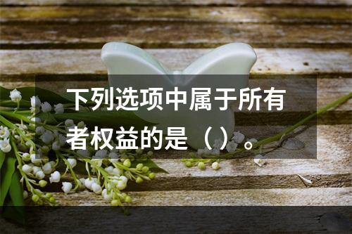 下列选项中属于所有者权益的是（ ）。