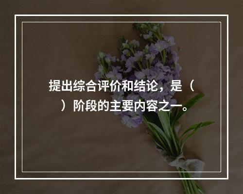 提出综合评价和结论，是（　　）阶段的主要内容之一。