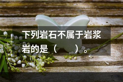 下列岩石不属于岩浆岩的是（　　）。