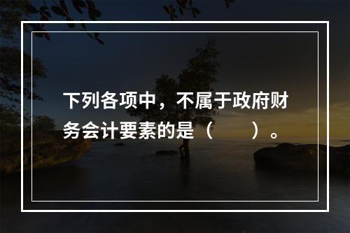 下列各项中，不属于政府财务会计要素的是（　　）。