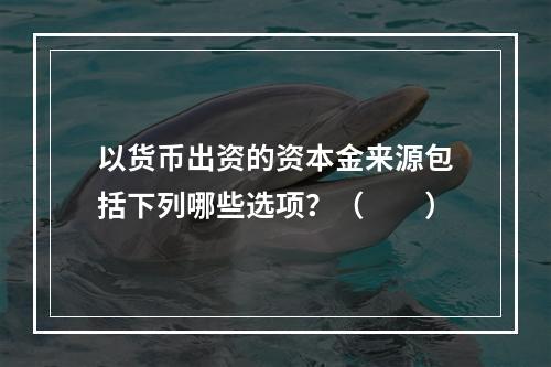 以货币出资的资本金来源包括下列哪些选项？（　　）