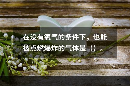 在没有氧气的条件下，也能被点燃爆炸的气体是（）。