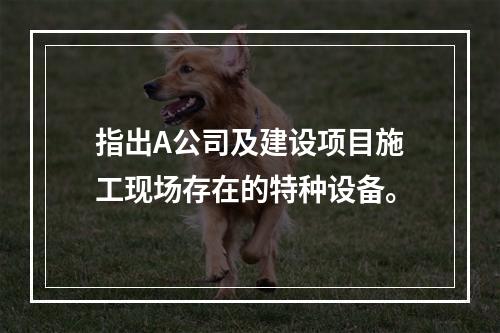 指出A公司及建设项目施工现场存在的特种设备。